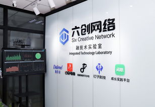 山東六創(chuàng)科技公司黛玲美研發(fā)中心獲評融技術實驗室 強化信息技術咨詢服務能力