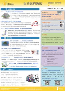 長煦信息技術咨詢 賦能企業數字化未來